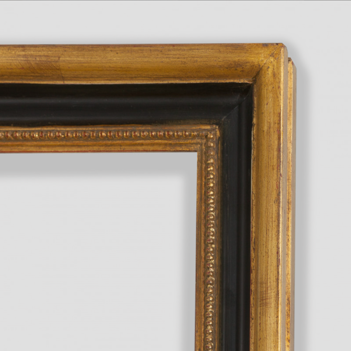 Bison Bonasus I {Hand-finished-frames}