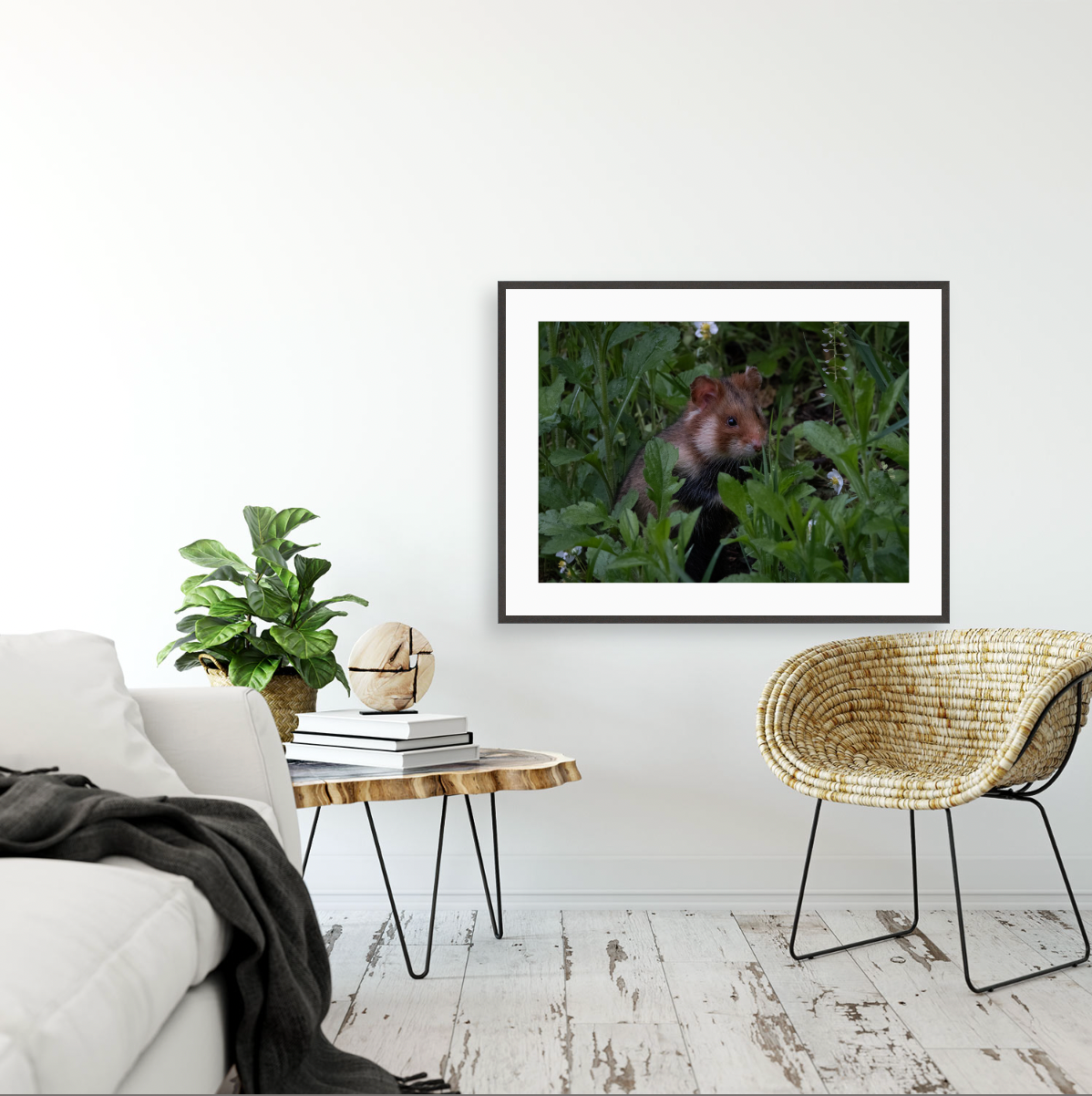 Hamsterdamn {Gallery frame}