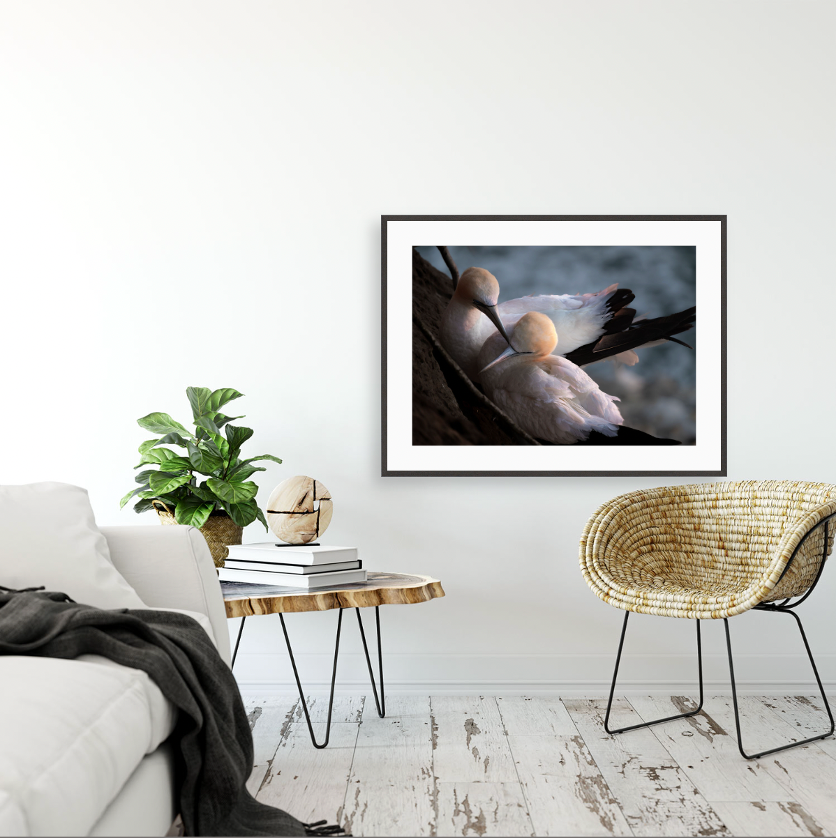 Tākapu {Gallery frame}