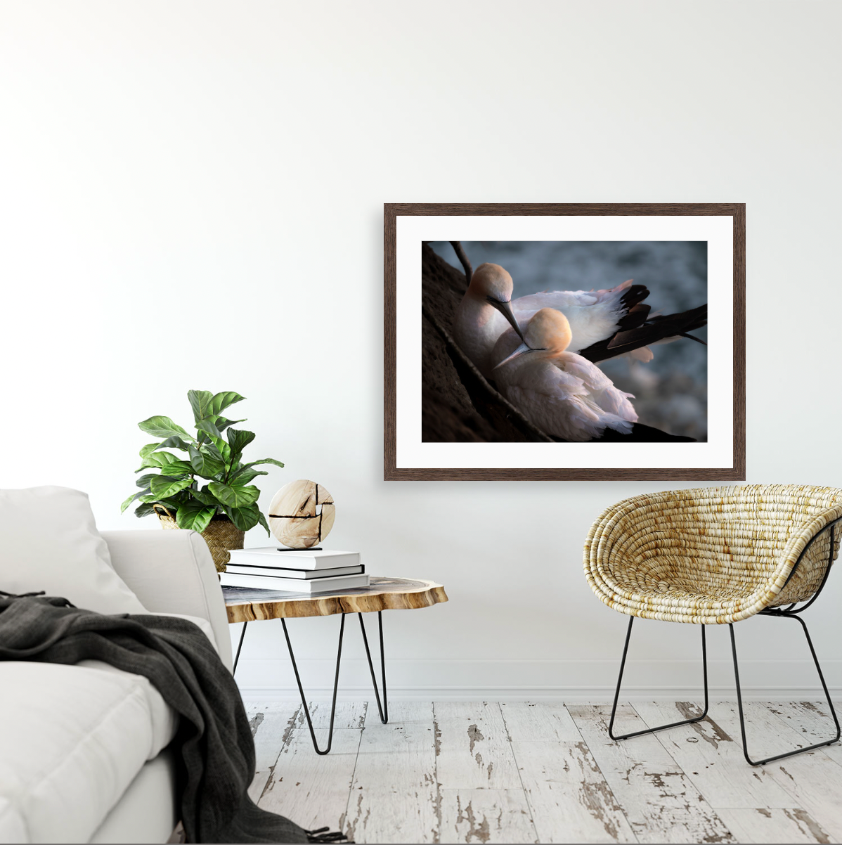 Tākapu {Wood frame}