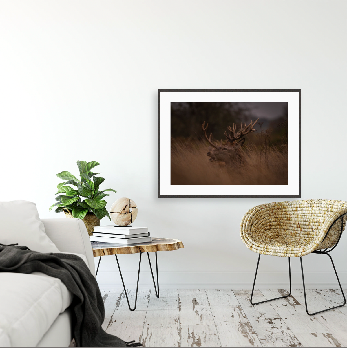 Multicorn {Gallery frame}