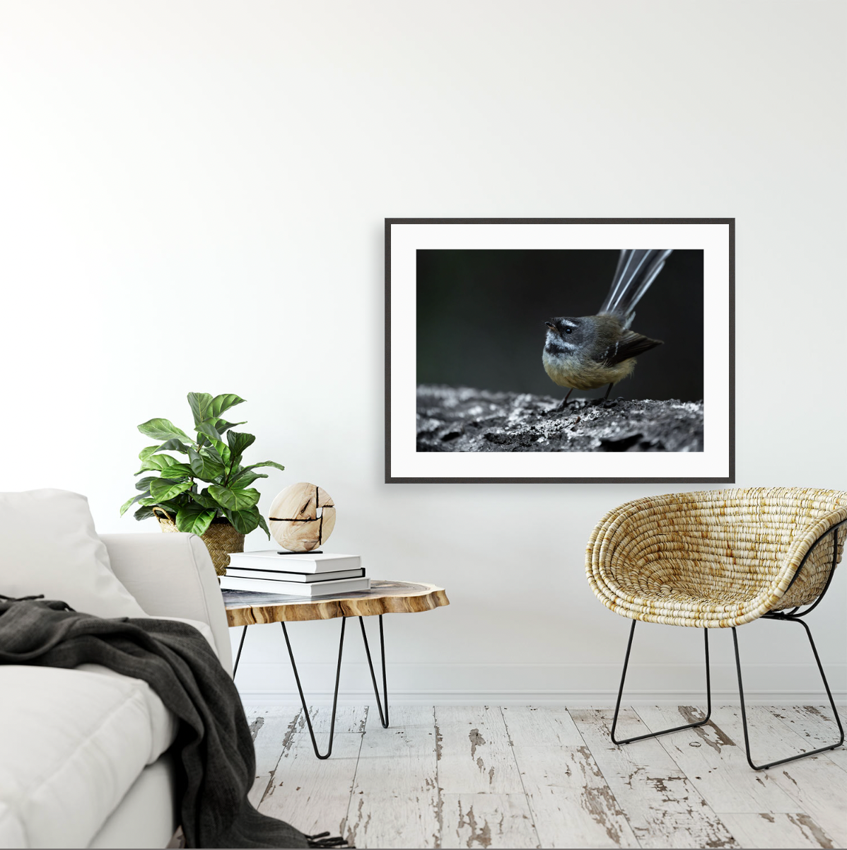 Pīwakawaka {Gallery frame}