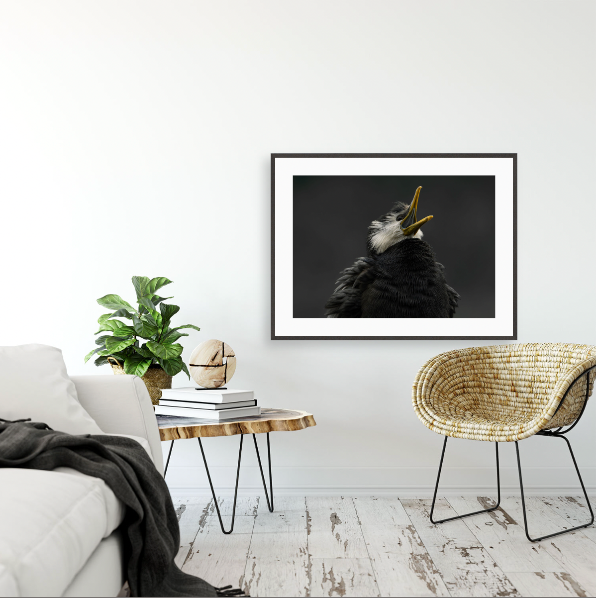 Kawaupaka {Gallery frame}