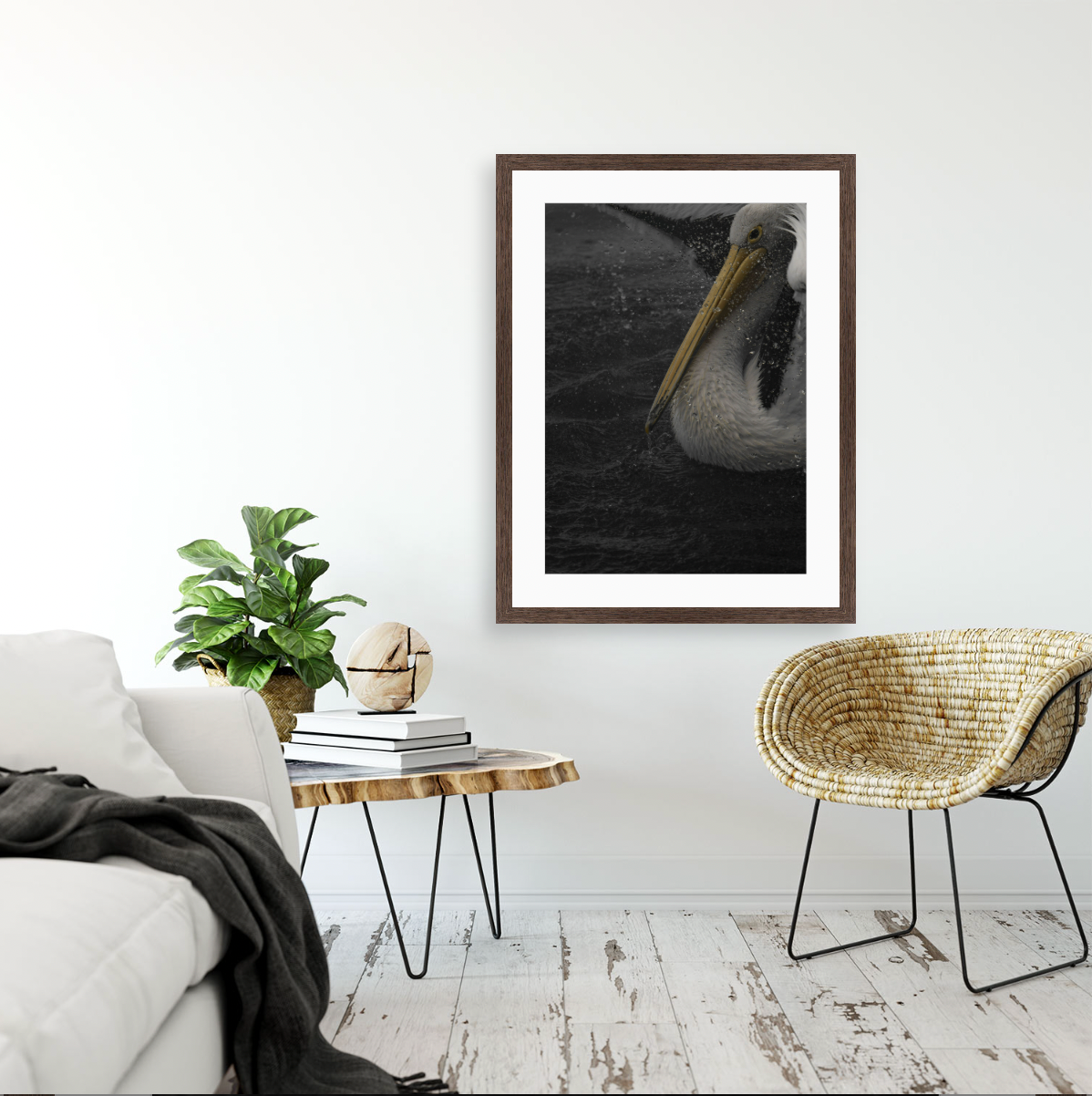 Pelecanus Conspicillatus {Wood frame}
