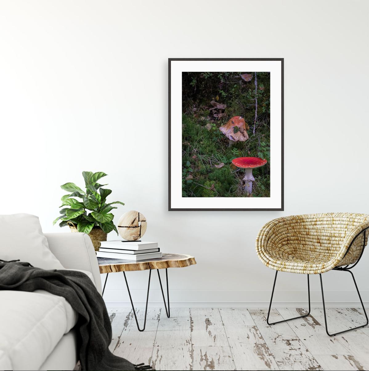 Amanita Muscaria {Gallery frame}
