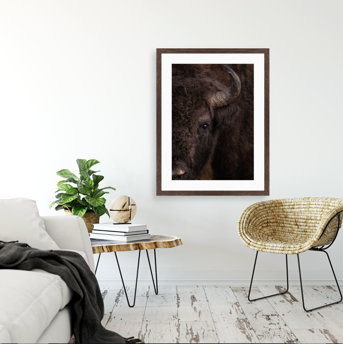 Bison Bonasus I {Wood frame}