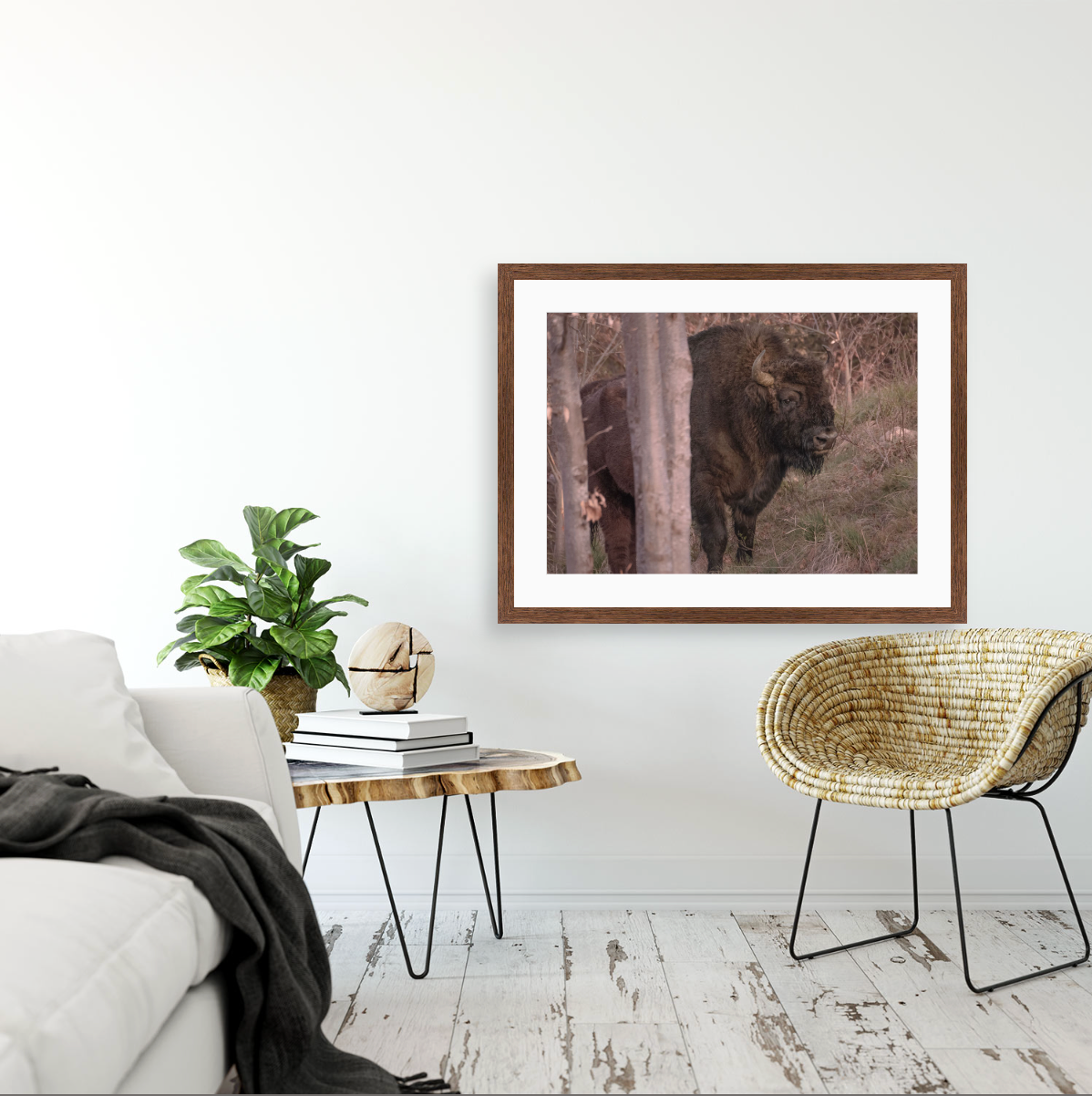 Bison Bonasus II {Wood frame}