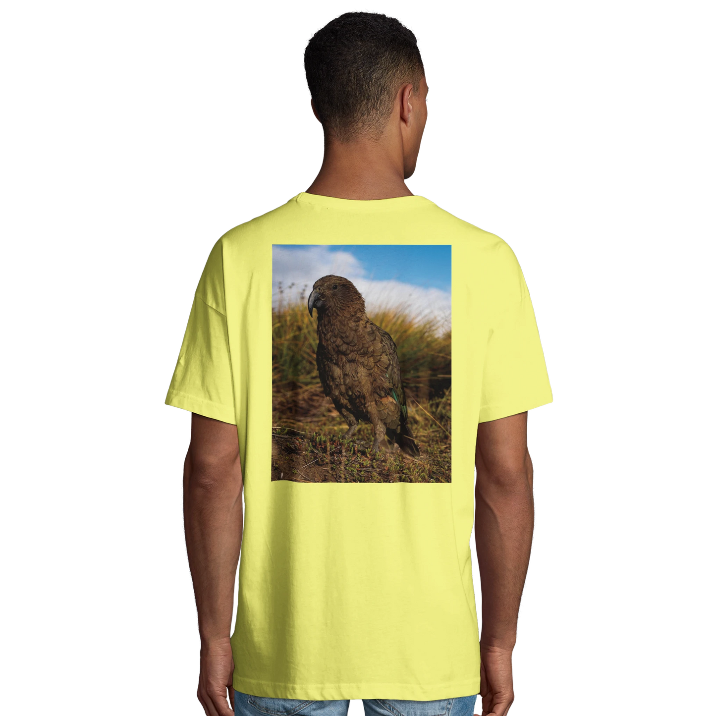 c61edadf-d547-4760-b50d-b3d0707839cc