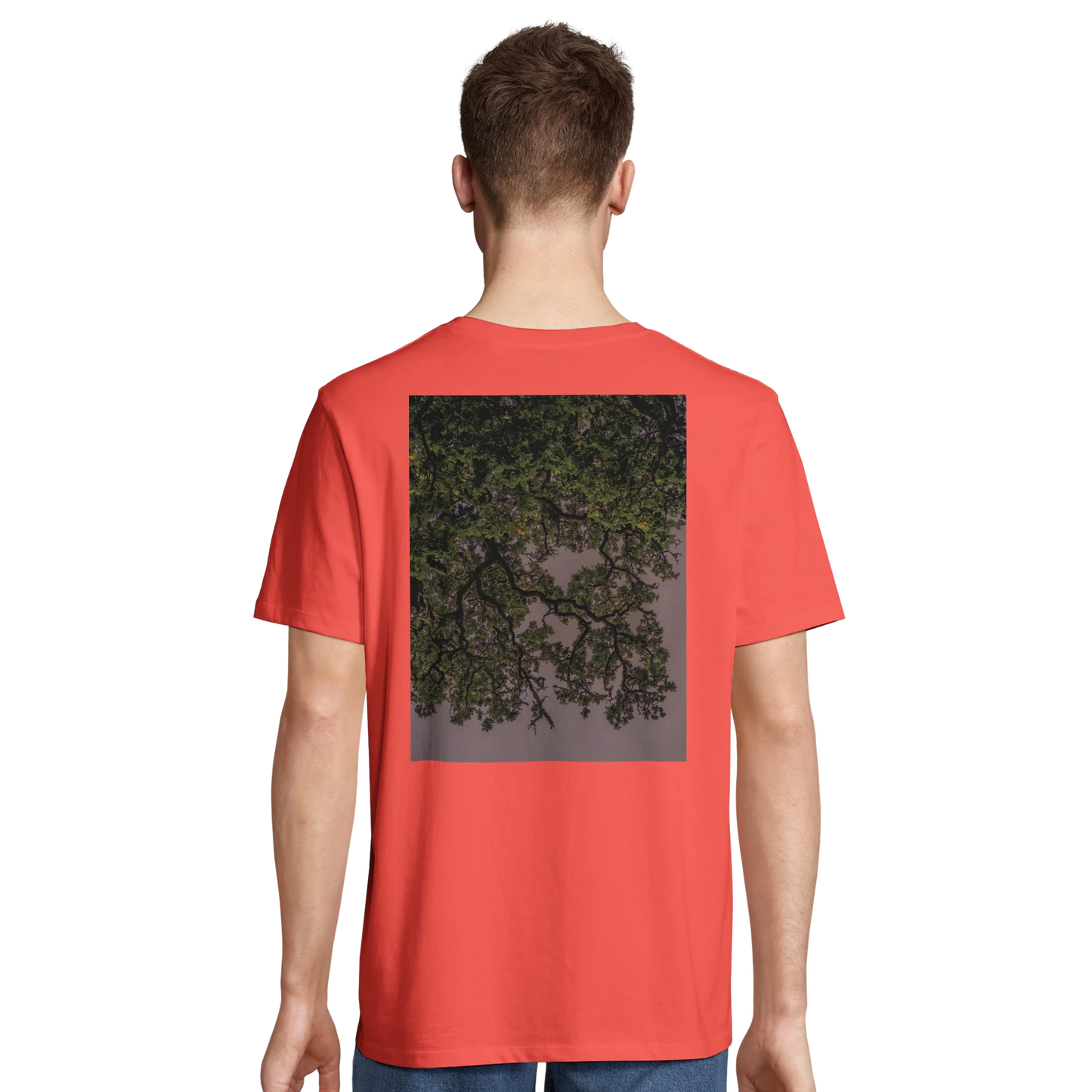 2e4734be-0a5e-4ffe-8351-0fdfd9f623ef