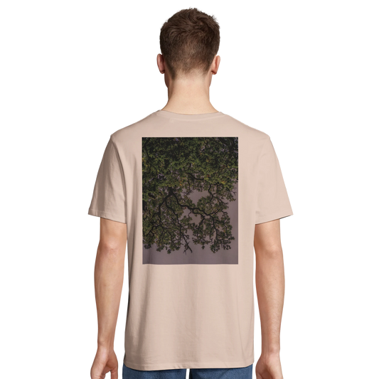 363c11c0-367a-4589-a2d6-173da1fd58f3