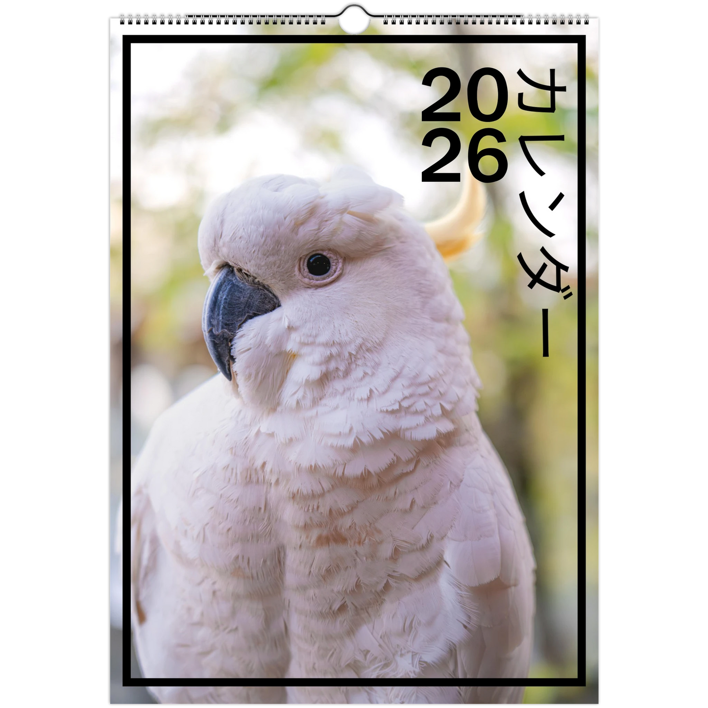 39ea5b1a-21d3-4570-81a9-63b011ad2e88