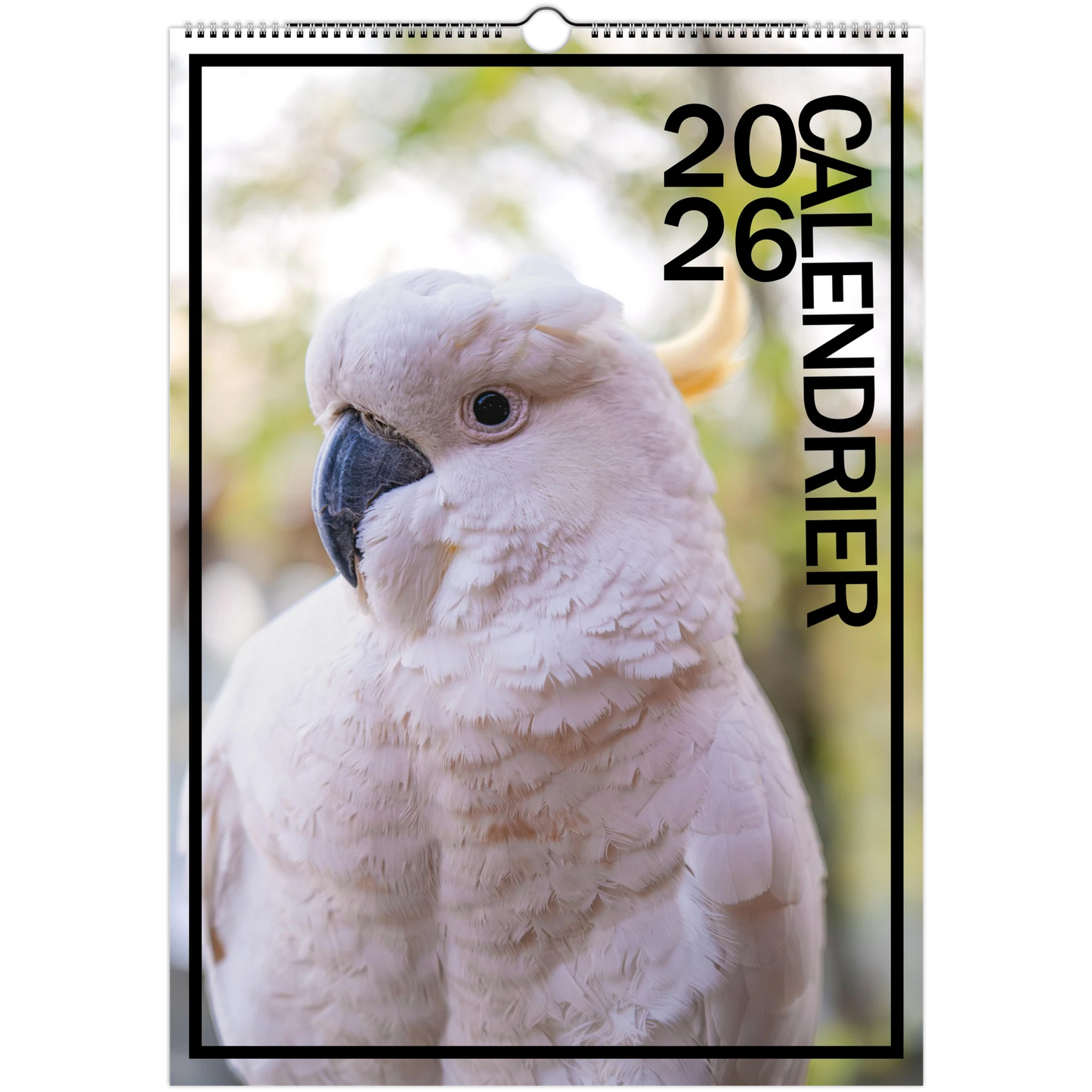 66831df4-5388-409a-8838-b80e78b2d127