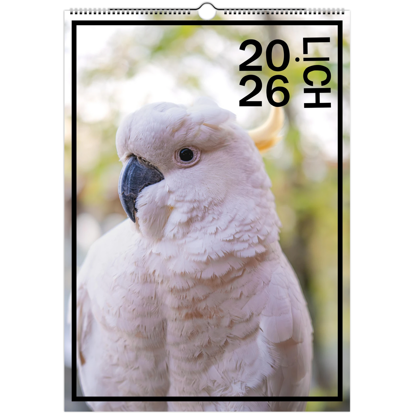 98091f93-1ccc-4635-9a7b-d0cfffe08933