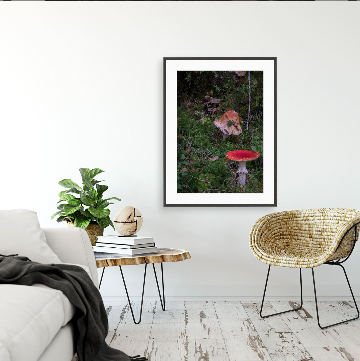 Amanita Muscaria {Gallery frame}