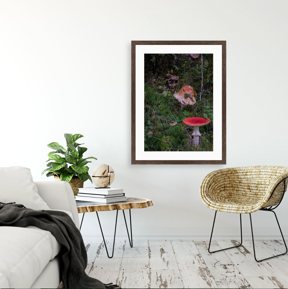 Amanita Muscaria {Hand-finished-frames}