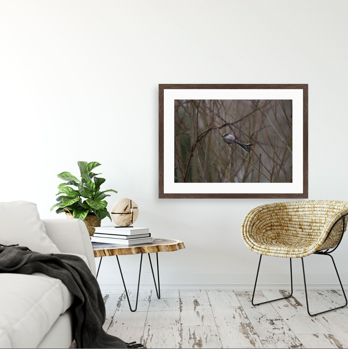 Aegithalos Caudatus {Wood frame}