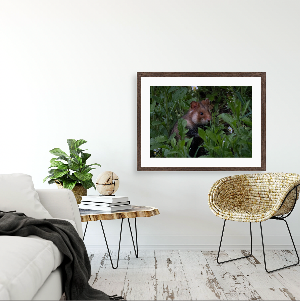 Hamsterdamn {Wood frame}