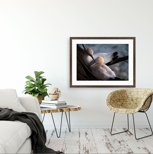 Tākapu {Wood frame}