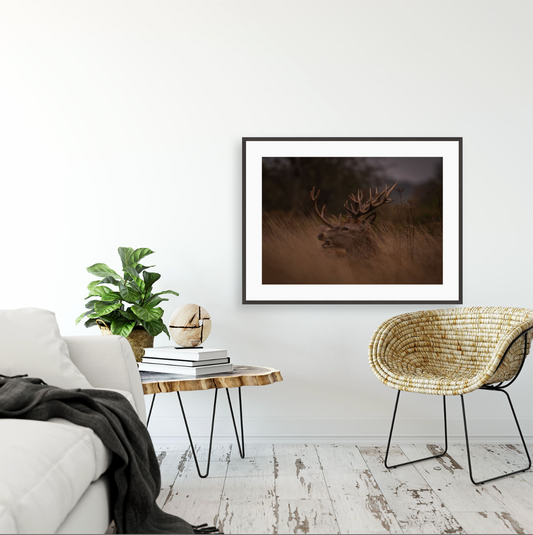 Multicorn {Gallery frame}