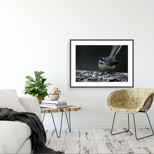 Pīwakawaka {Gallery frame}