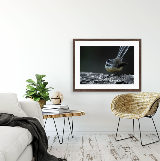 Pīwakawaka {Wood frame}