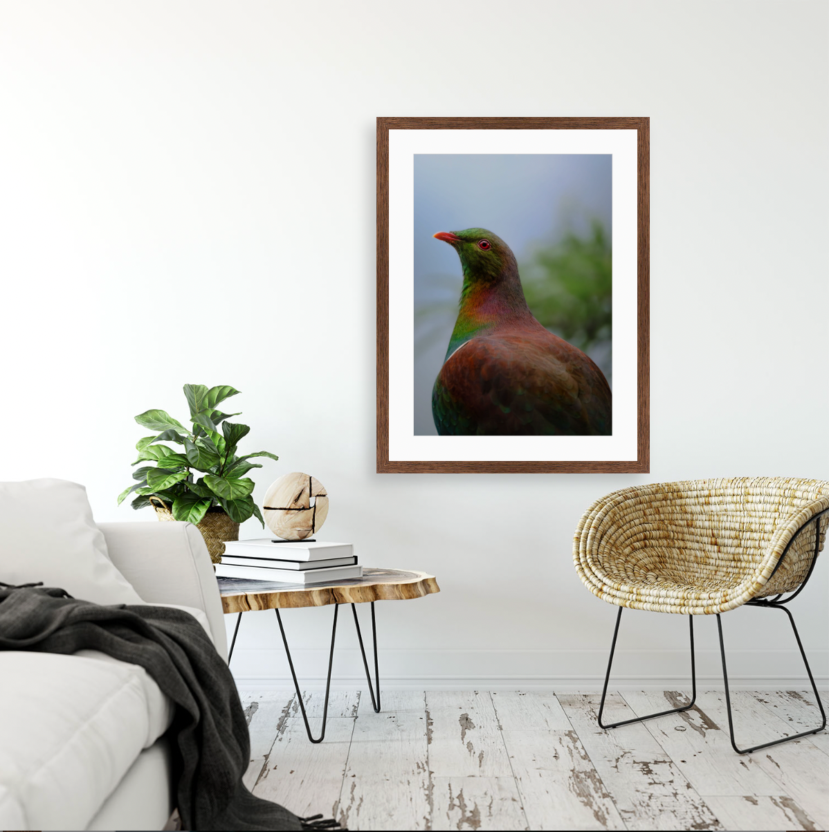 Kererū {Hand-finished-frames}