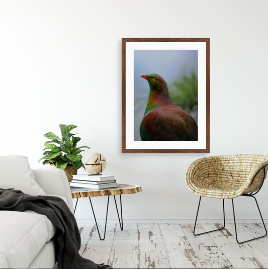 Kererū {Wood frame}