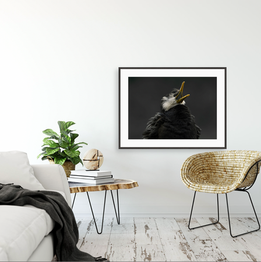 Kawaupaka {Gallery frame}