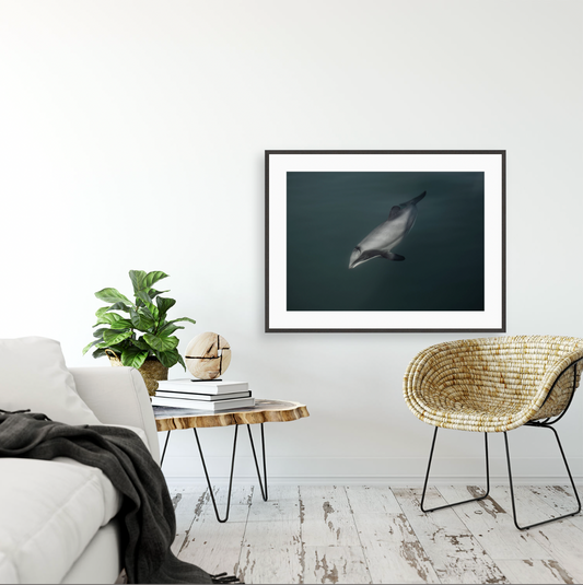 Upokohue {Gallery frame}