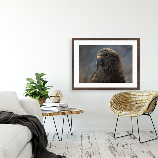 Kea I {Wood frame}