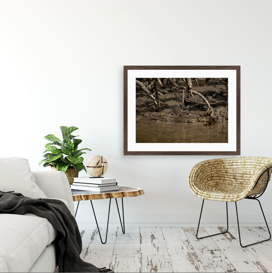 Crocodylus Porosus I {Wood frame}