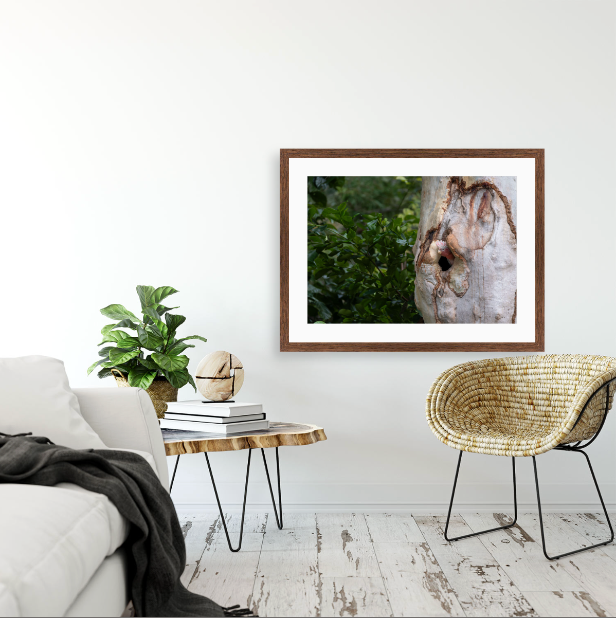 Eolophus Roseicapilla {Hand-finished-frames}