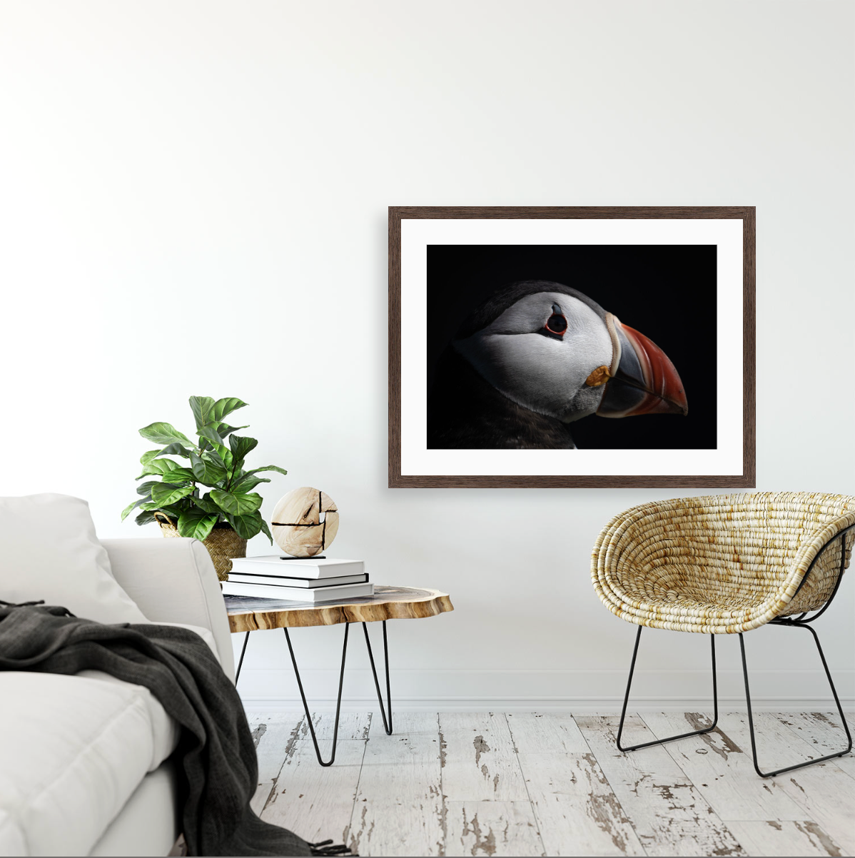 Fratercula Arctica I {Hand-finished-frames}