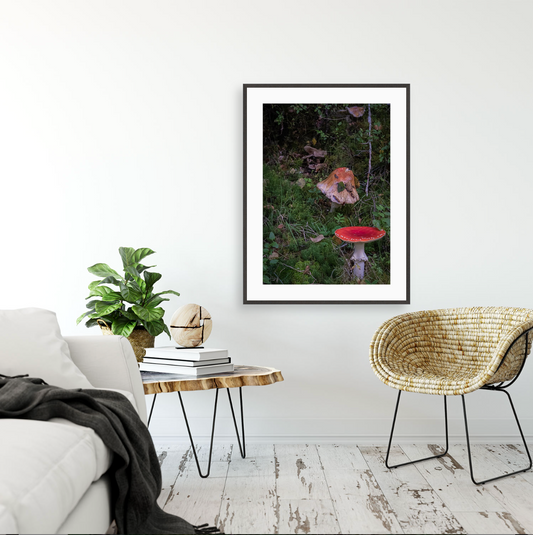 Amanita Muscaria {Gallery frame}