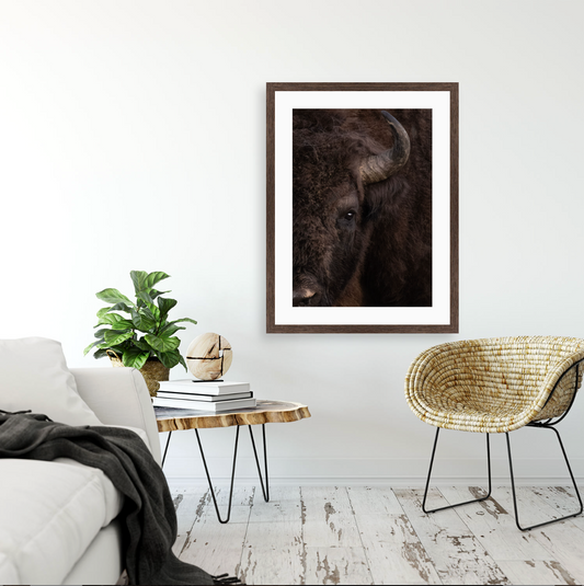 Bison Bonasus I {Wood frame}