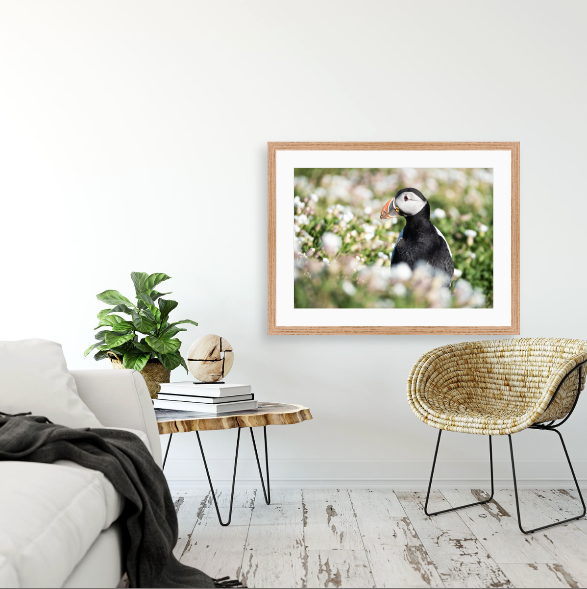 Fratercula Arctica II {Wood frame}