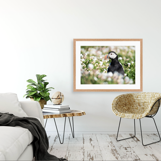 Fratercula Arctica II {Wood frame}