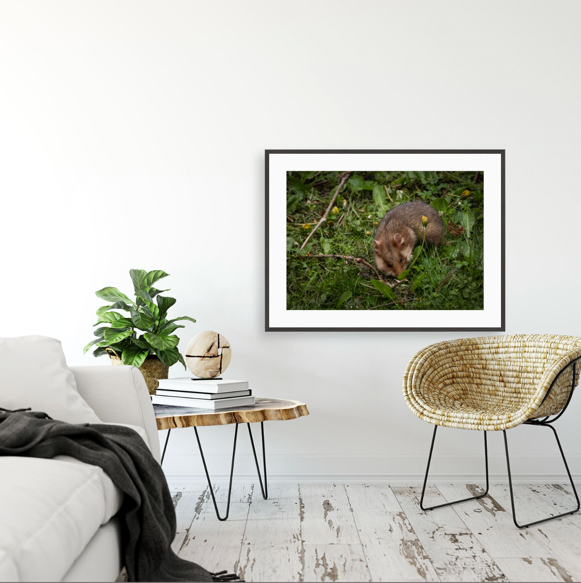 Hamsterdamn II {Gallery frame}