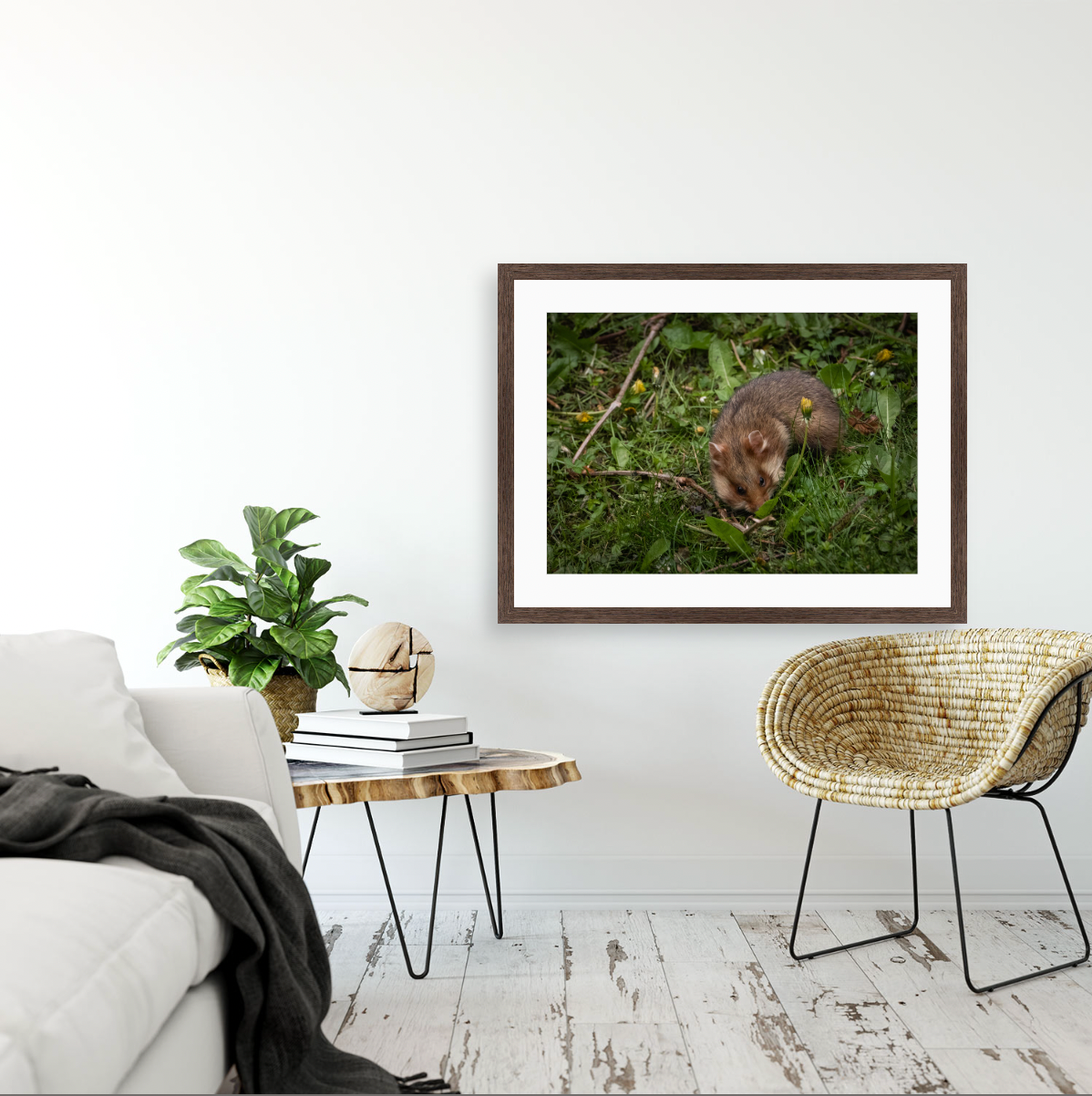 Hamsterdamn II {Hand-finished-frames}