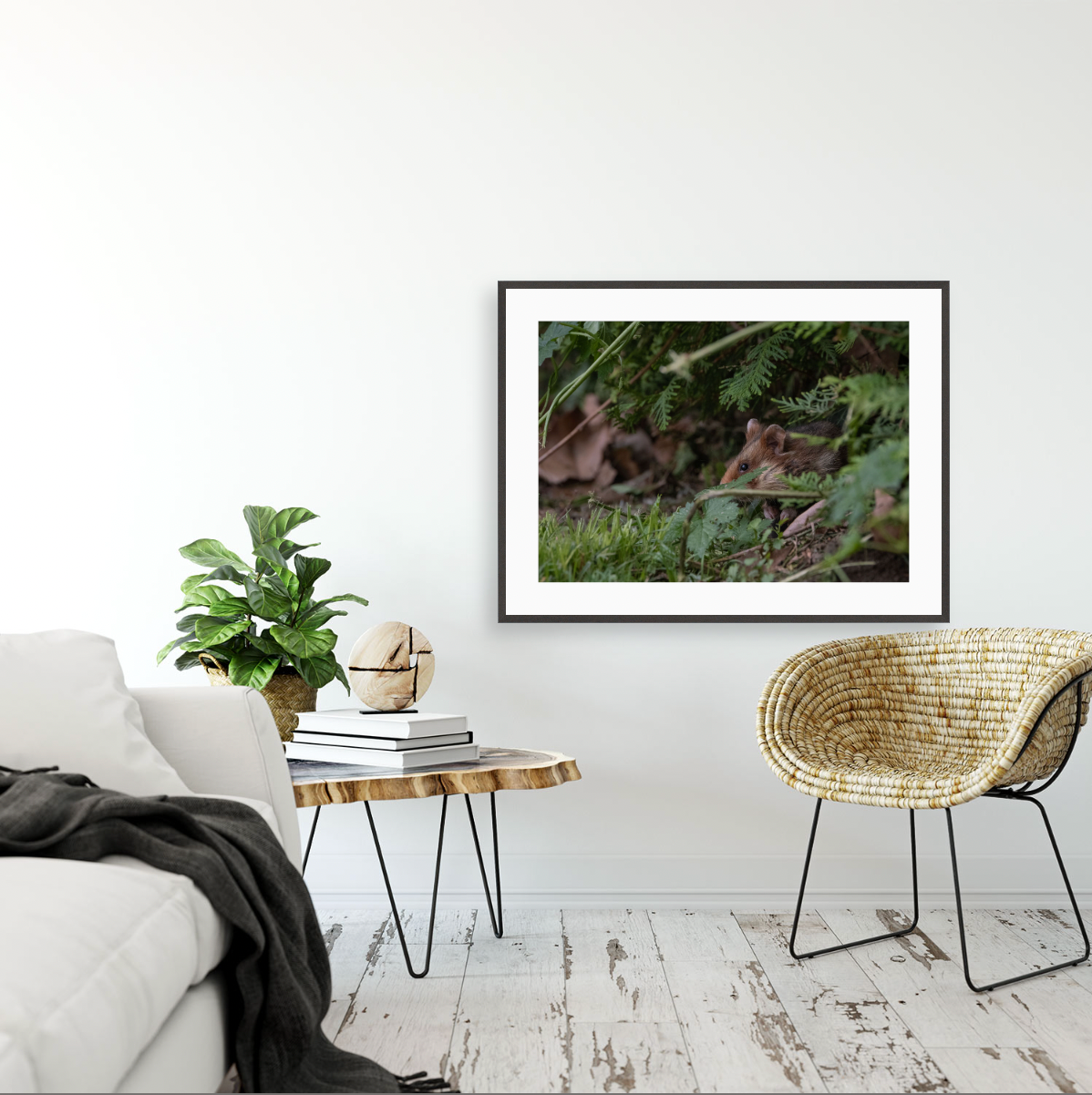 Hamsterdamn III {Gallery frame}