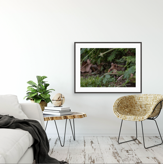 Hamsterdamn III {Gallery frame}