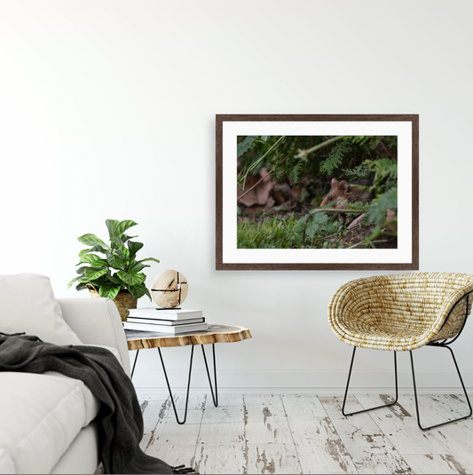 Hamsterdamn III {Wood frame}
