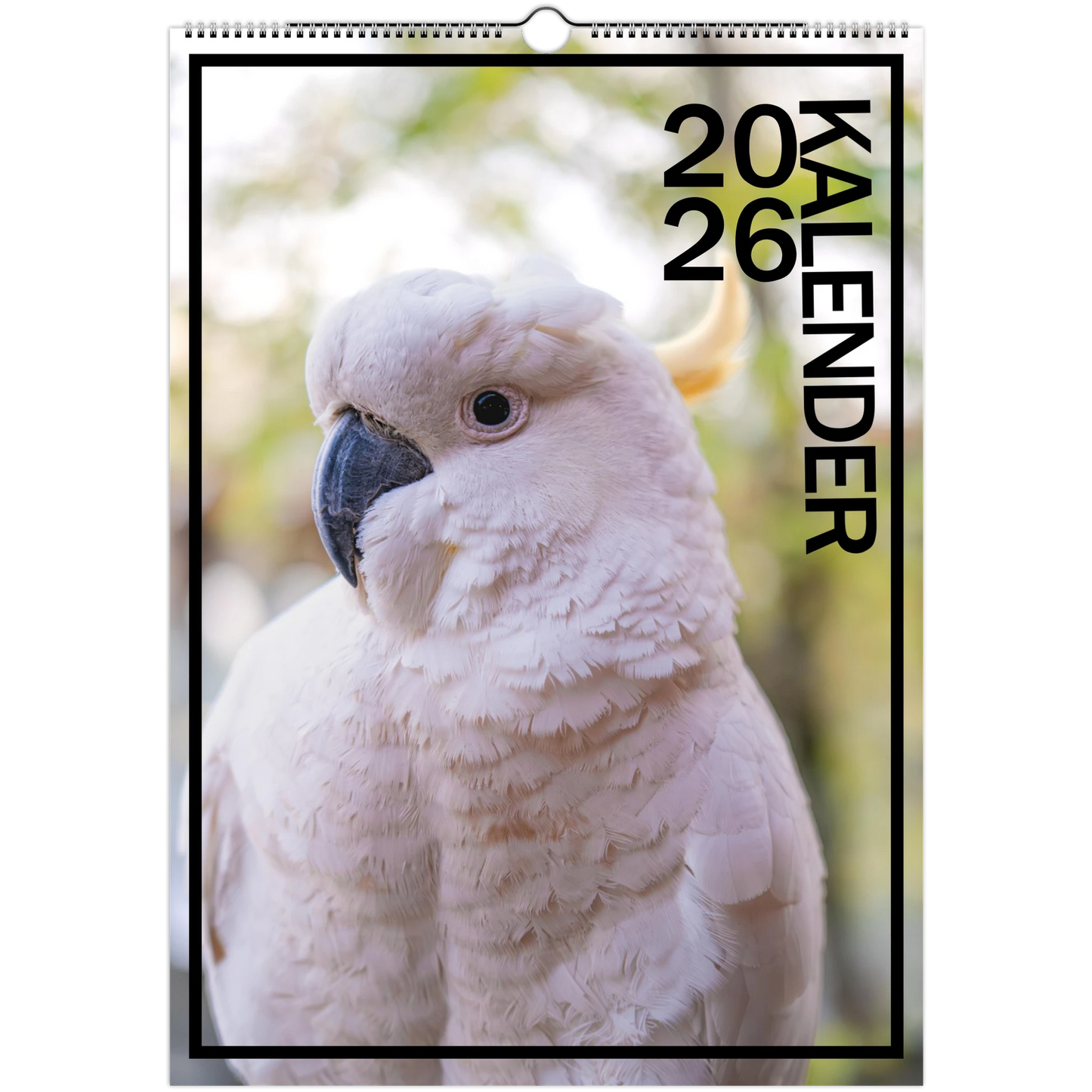 ca17797d-2158-4ac3-9469-2adc9410592c